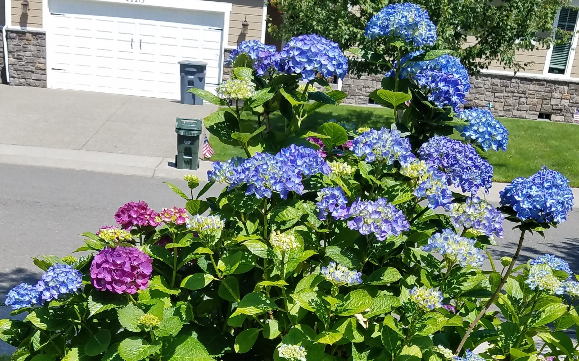 image-20180705_120528